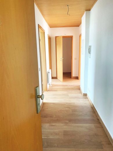 helle und angenehme 3 Zimmer mit Balkon im EG, soeben frisch saniert – Diele