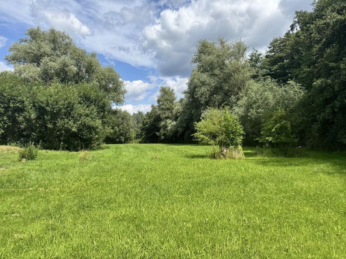 Yield rental house and agricultural areas in Mirow – Wiese