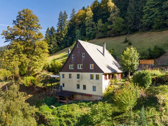 IMMORath.de – Idyllische boerderij in het Zwarte Woud voor zelfvoorzieners, op een unieke afgelegen locatie – Foto 1