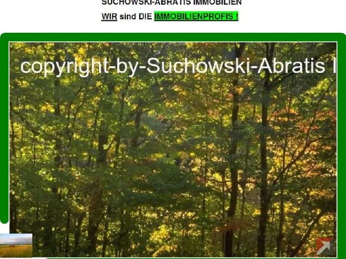 *** 16 ha forest *** – Photo 1