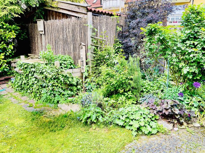 Garten 1 / Hochbeete