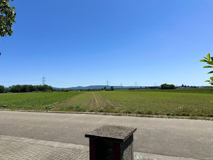 Ausblick