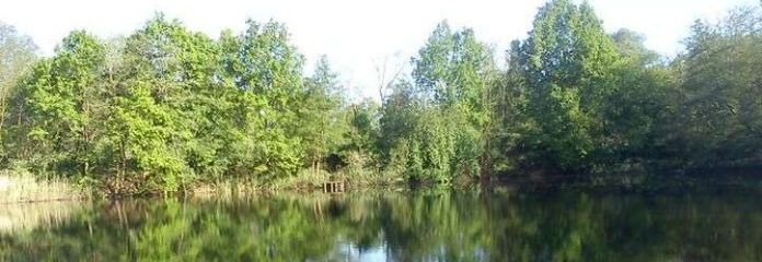 Ihr eigenes Fisch-Teichgrundstück mit 12.766 m²