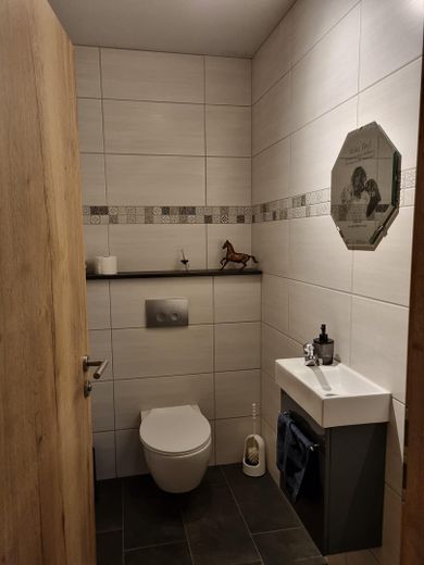 Landhaus mit zusätzliches Einfamilienhaus und großer Garage in Alleinlage im Wald – Gästetoilette