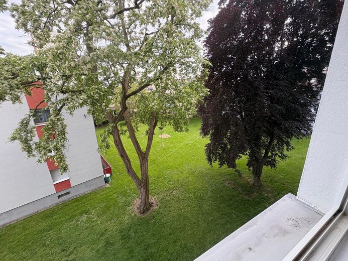 Gemeinschaftsgarten