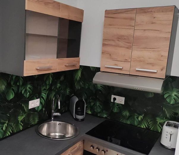 Gemütliche 1-Zimmer-Wohnung teilmöbliert mit Einbauküche barrierefrei – Küche Oberschränke