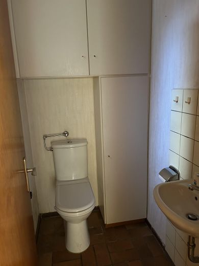 Ansicht Gäste WC EFH
