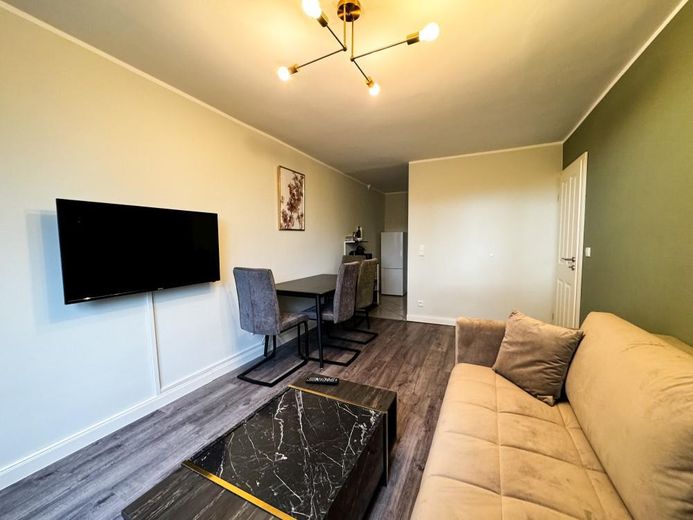 Voll möbliertes 2 1/2 Zimmer Apartment mit Balkon und High-Speed-Internet – Wohnzimmer