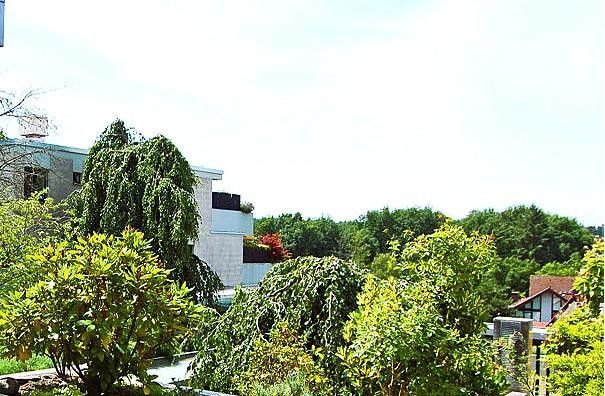 ein letzter Blick...