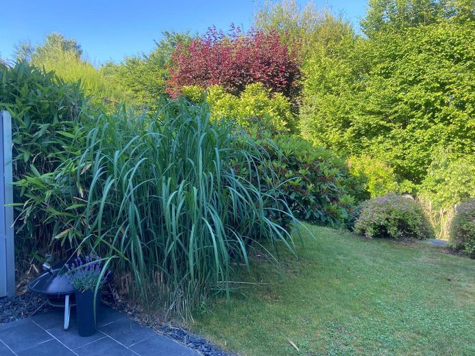 Haus in ruhiger Lage – Foto 7