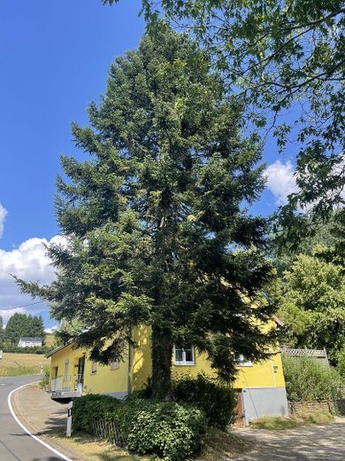 Haus in Alleinlage mit großem Grundstück und 2 Wohnungen – फोटो 2