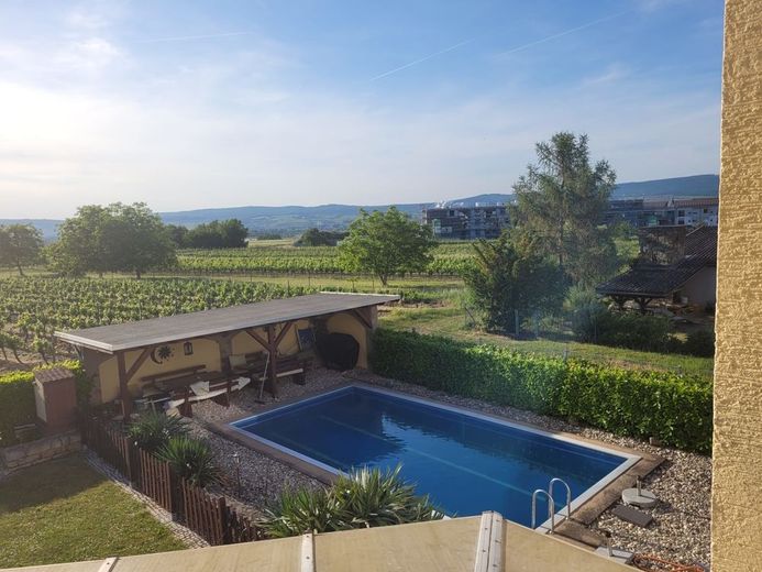 Panorama-Immobilie mit Weitblick: Einfamilienhaus in ruhigem Umfeld! Garten, Garage, Pool! – Pool