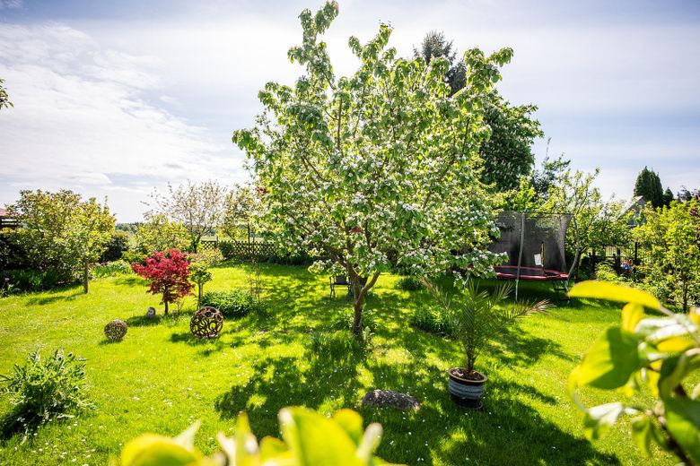 Schöner Blick von der Terrasse