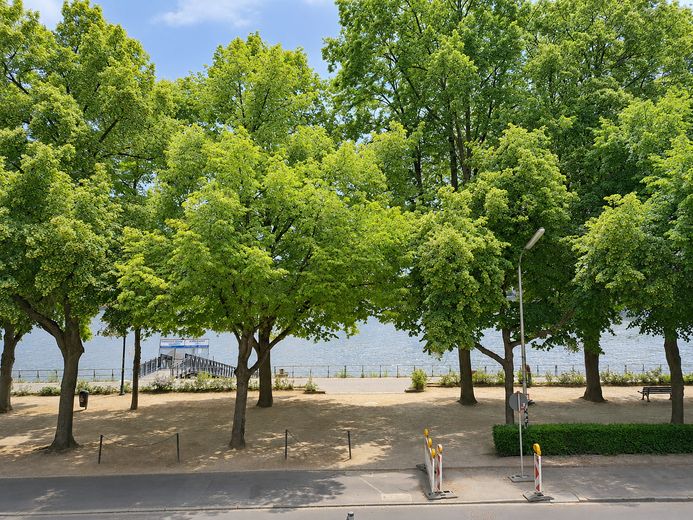 Rheinblick (Wohnzimmer)