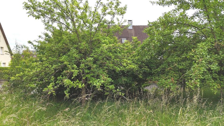 Seltene Gelegenheit im Oberen Maintal: Großzügiges Traumgrundstück mit 1.353 m² in Marktzeuln - Erschlossene Lage &amp; vielseitig bebaubar! – Ansicht 1