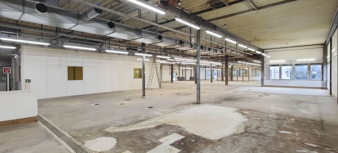 OG_Produktionsflächen_Blick_14
