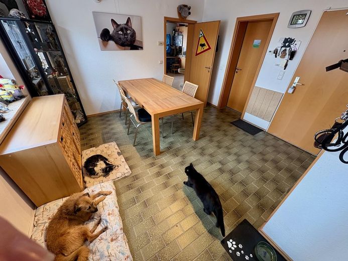 Wohnen am See: Traumwohnung mit Potenzial für zwei Einheiten, provisionsfrei von Privat – Esszimmer