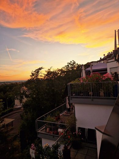 Lebenswertes & Hochwertiges Wohnen mit Blick auf den Rhein – Herrliche Sonnenuntergänge