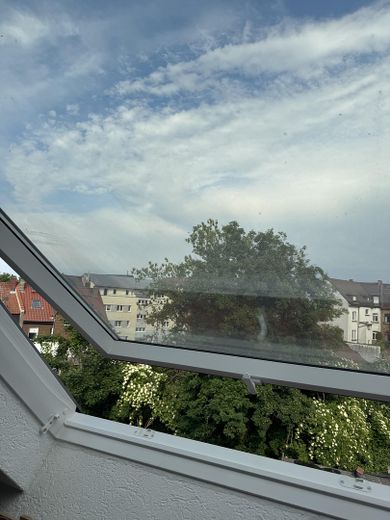 Ausblick