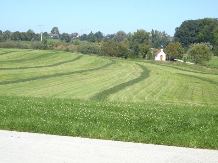 nebenan viel Grün 