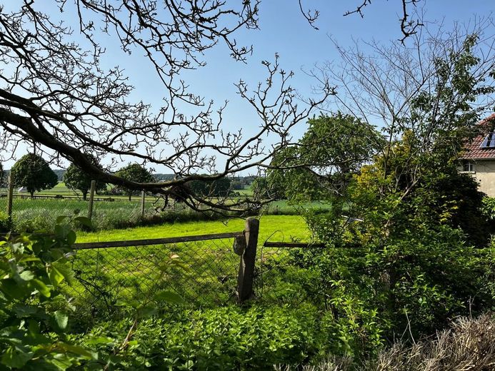 Resthof in Spenge mit der Option auf 1 ha Weide´für Pferdeliebhaber – Blick
