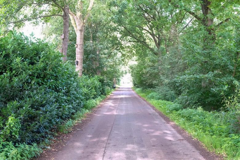 Grundstück in Lüdersburg – Eschenweg