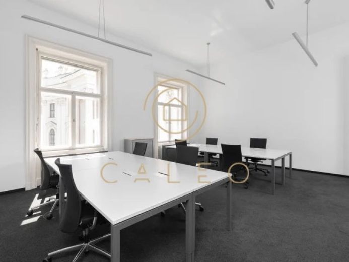 CALEO ¦ Bezirk 1 ¦ Herrengasse ¦ flexibel + sofort bezugsfertig ¦ All-in-Miete ¦ PROVISIONSFREI – Foto 1