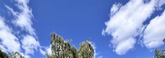 20250810_123250219_iOS