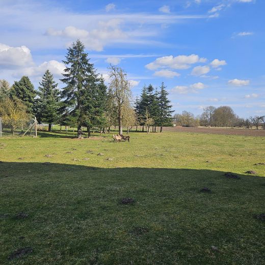 Hofanlage mit Wohnhaus, Scheune & ca. 5.000 m² Land – provisionsfrei – Wiese mit Nachbarhäusern