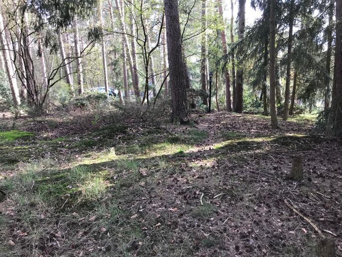 Besondere Gelegenheit pos. Bauvoranfrage - Lindwedel /direkt – Foto 2