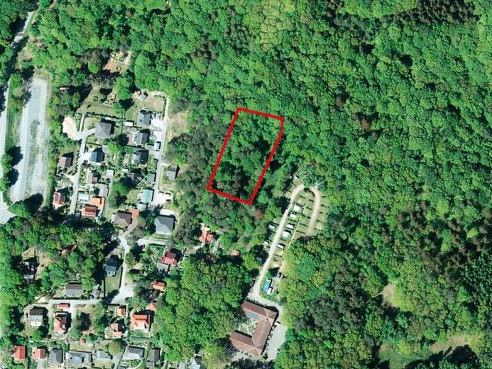 Wald in 18528 Lietzow /Insel Rügen, hinter Nordstraße 70 – Foto 1