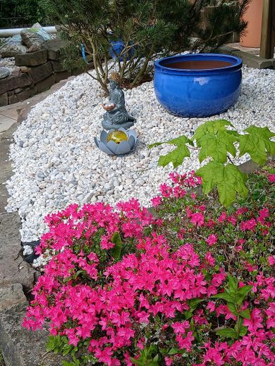 Impressionen Garten