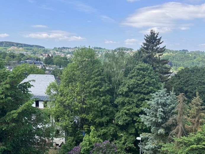 frisch sanierter 5 - Zi DG-Wohntraum mit Fernblick und Gartenanteil in einer Villa – Foto 7