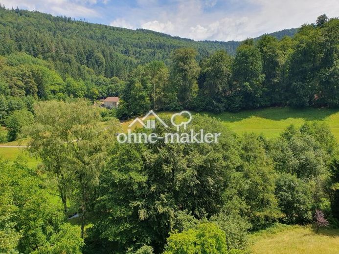 Attraktive lichtdurchflutete Maisonette-Wohnung – Foto 1