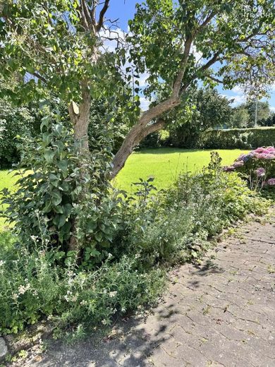 Gut gelegenes Baugrundstück in Travemünde (mit Altbestand) – Garten