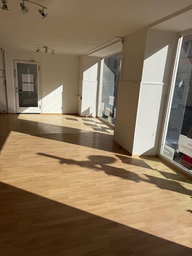 Landesgartenschau 1 Million Gäste , Laden an Fußgängerzone + Marktplatz, Präsentation zur LGS! – Foto 15