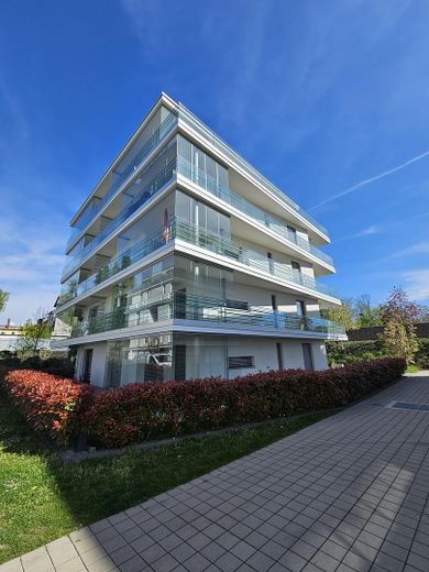 Wohnen wie im eigenen Haus – moderne Gartenwohnung am Altrhein mit Terrasse & Tiefgarage – फोटो 1