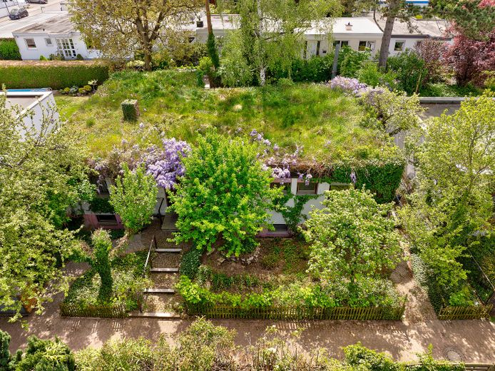 Freistehendes Haus mit Naturgarten (Biotop) und Dachgarten – Haus und Vorgarten von oben