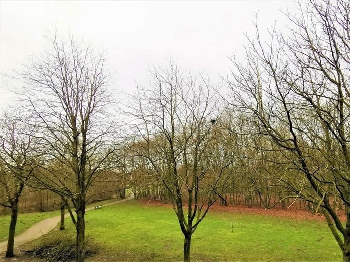Blick vom Balkon