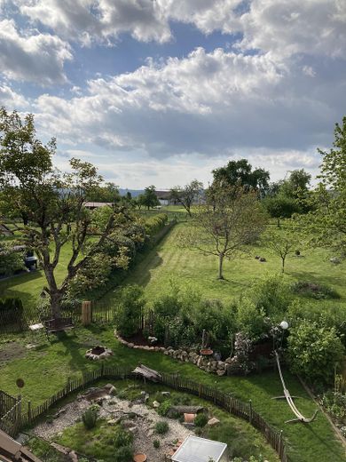 Blick in den Garten und Ferne