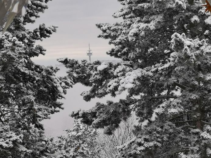 Wohnen, wo der Urlaub beginnt: