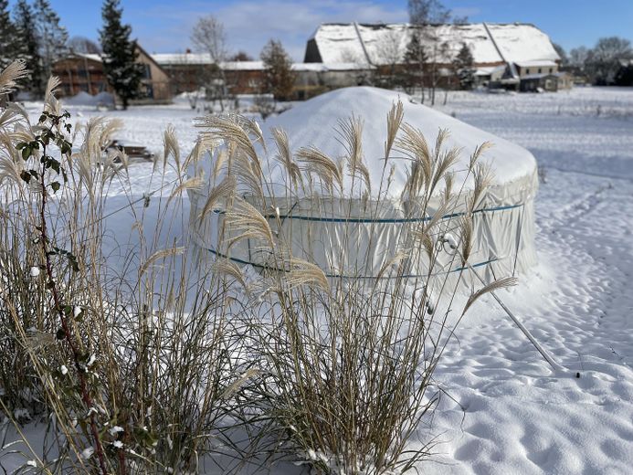Garten im Winter