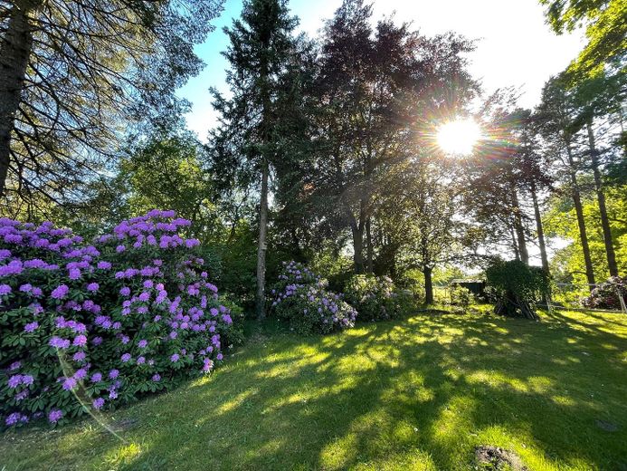Garten 1