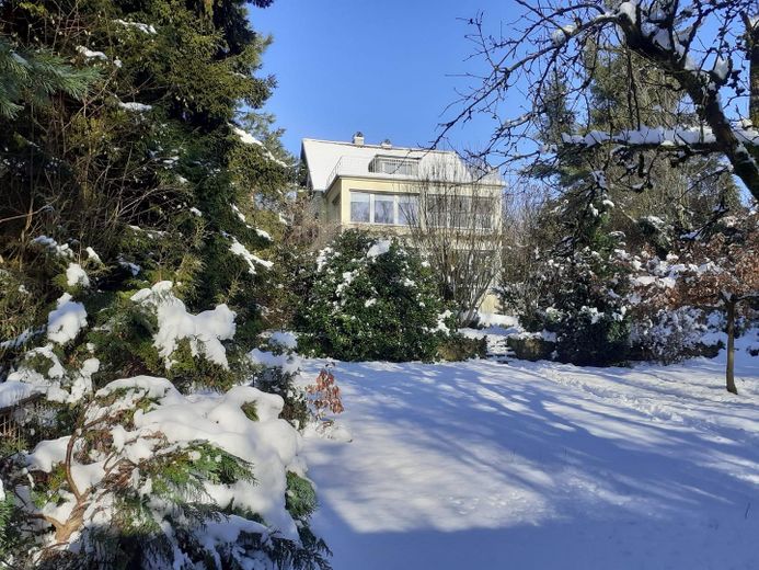 Haus mit Garten im Winter