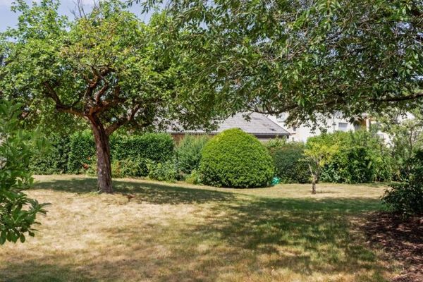Attention Luxembourg commuters—Detached house with separate apartment + great plot in Wasserliesch