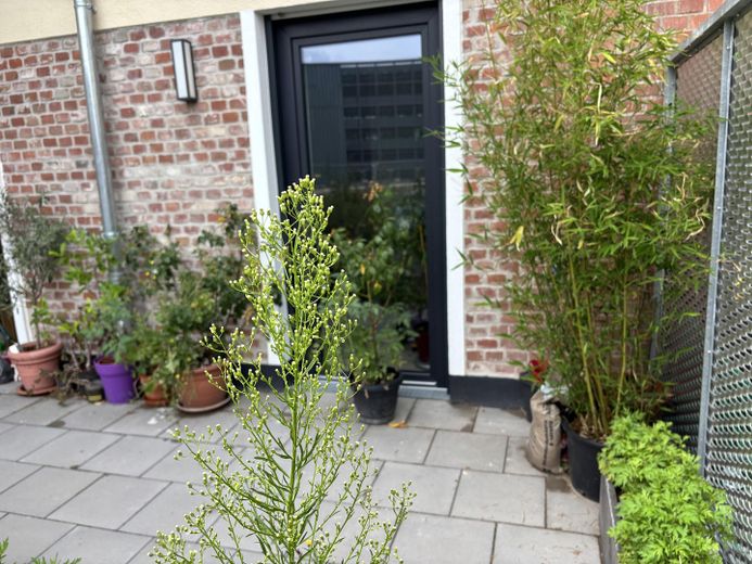 Einzigartige 4-Zimmer Wohnung mit Terrasse und Gartenanteil! NEUBAU – Terrasse