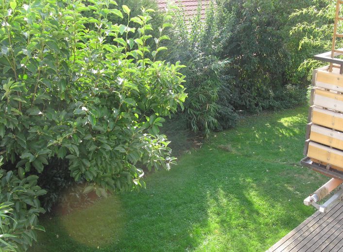 Gartenblick vom Zimmer 2
