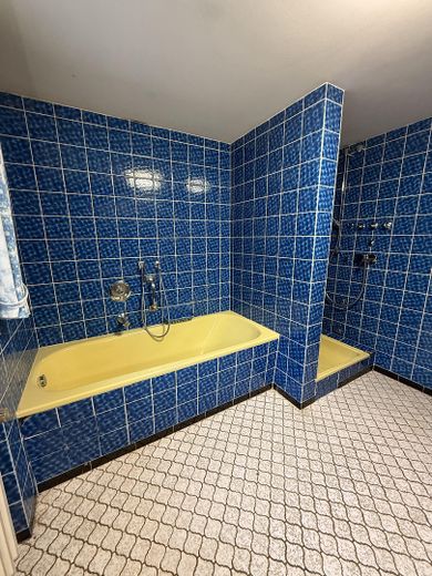 Badewanne und Dusche