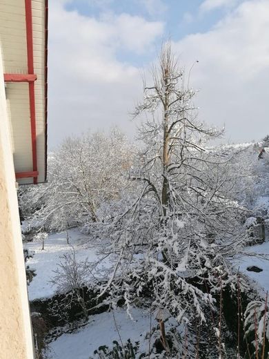 Ausblick aus Zimmer 3 im OG