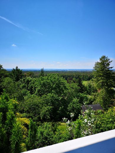 Blick von der Terrasse